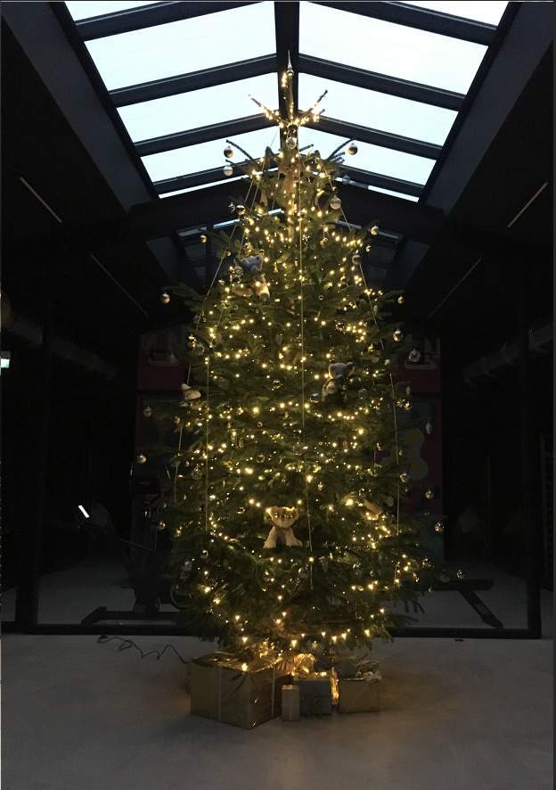 Location et installation de sapin de noël Lyon