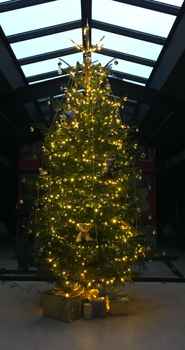 Location sapin de Noël AMS Locations 69420 https://www.ams-locations.com