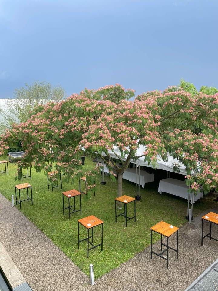 Quelques inspirations 5