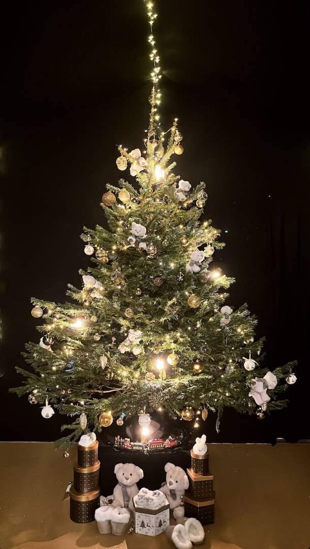 Location et installation de sapin de noël Lyon