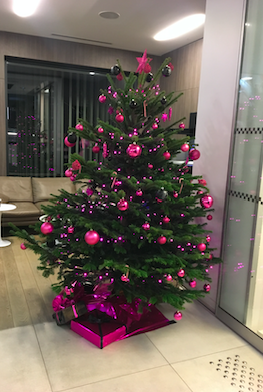 Installation Sapin de Noël AMS Locations 38780 https://www.ams-locations.com
